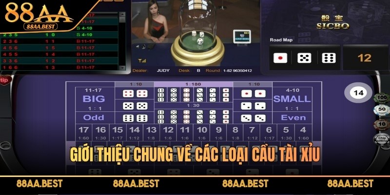 Giới thiệu chung về các loại cầu tài xỉu